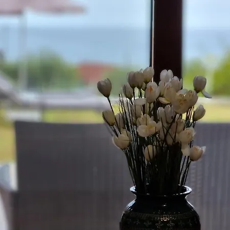 Dei Fiori